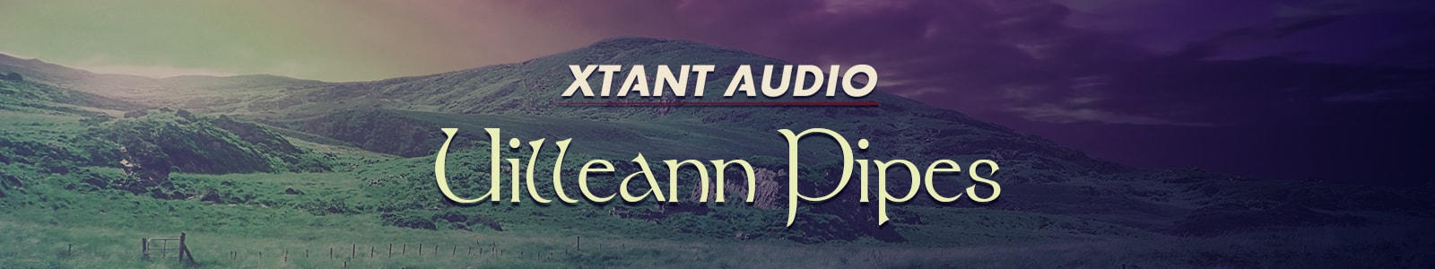 Dicky Deegan's Uilleann Pipes