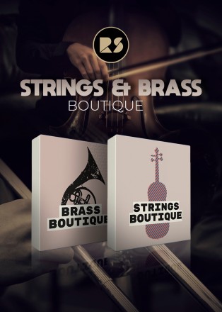Strings & Brass Boutique by Rast Sound