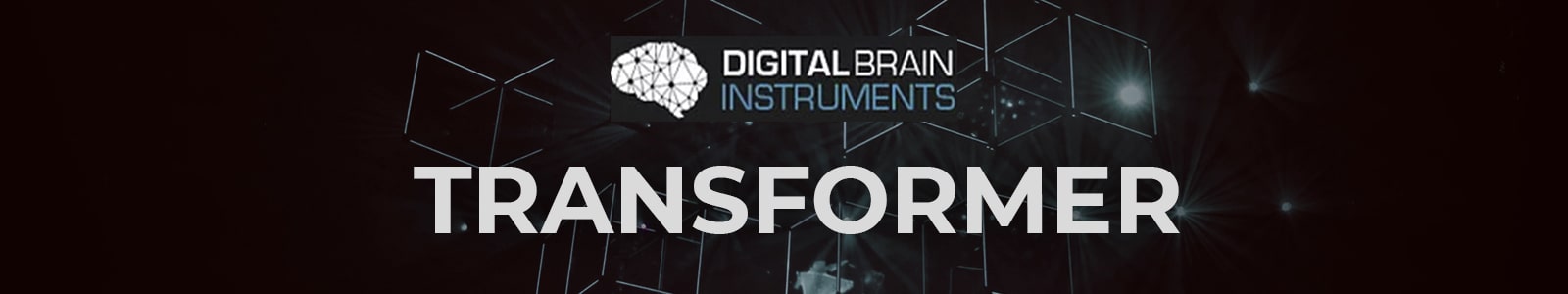 Transformer by Digital Brain Instruments