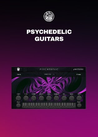 Psychedelic Guitars by BeastSamples