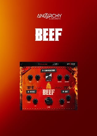 BEEF by Anarchy Audioworx