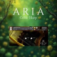Aria Sounds Celtic Harp poster min