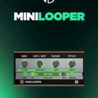 MiniLooper by Audio Blast