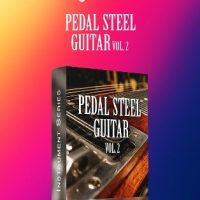 Pedal Steel Guitar 2 by Image Sounds