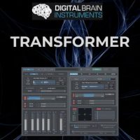 Transformer by Digital Brain Instruments