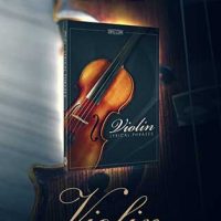lyrical violin phrases