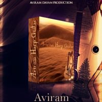 Aviram Harp Guitar