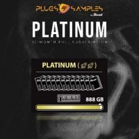 BEAT Magazine Platinum 12 Month Subscription